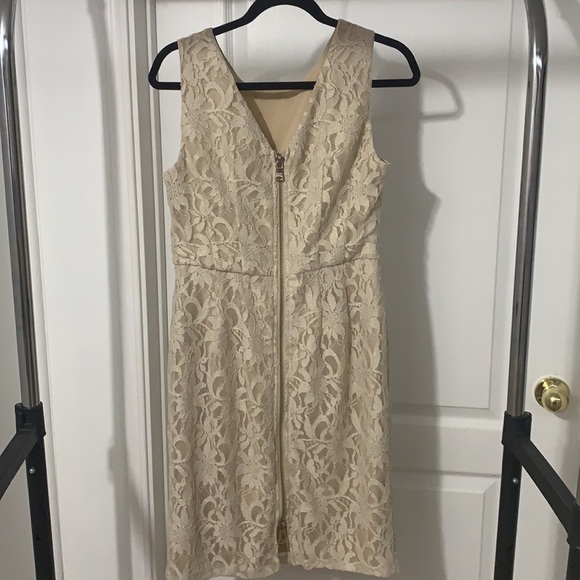 Beige Lace Le Château MidLength Dress - Picture 5 of 5